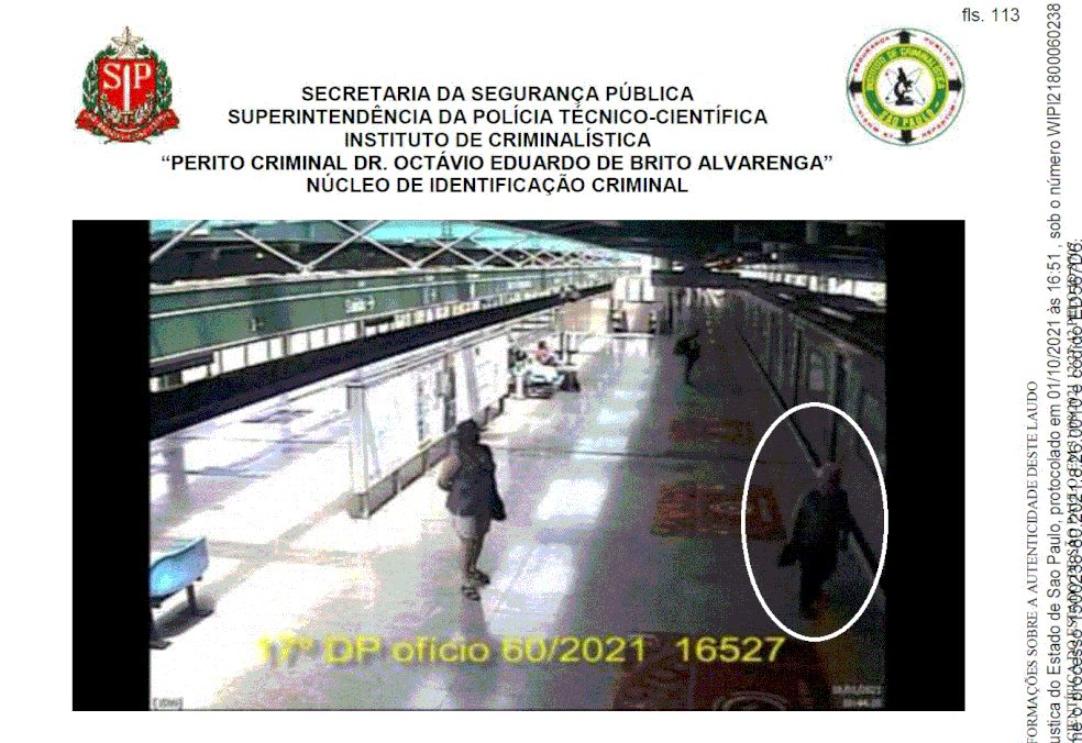 Fotos de vídeo mostram que Pepita ficou caminhando pela Estação Santos-Imigrantes  — Foto: Reprodução/Polícia Técnico-Científica