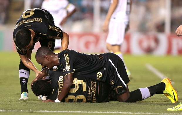 Elias comemora gol do Botafogo contra o Santos (Foto: Leandro Martins / Agencia estado)