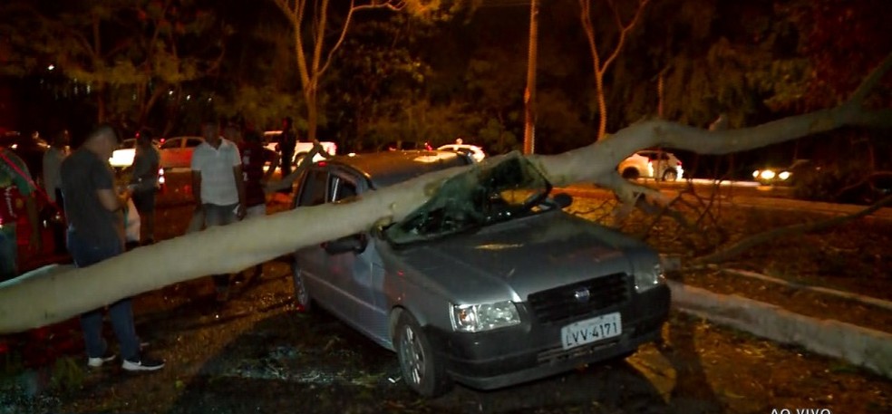 Árvore caiu em cima de carro e interditou alça da Ponte Metálica, em Teresina — Foto: Reprodução/TV Clube