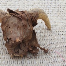 Cabeça de carneiro mumificada de mais de 4,3 mil anos  — Foto: Ministry of Tourism and Antiquities/Reprodução/Facebook
