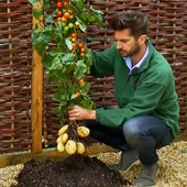 Empresa lança planta que dá batata e tomate (Reprodução/Youtube/Thompson & Morgan TV)