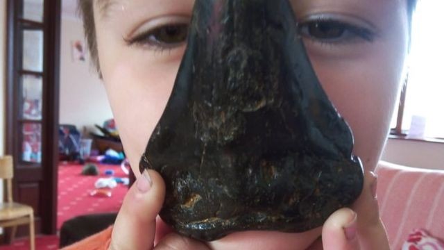 O dente de tubarão pré-histórico achado por menino de 6 anos em praia da Inglaterra