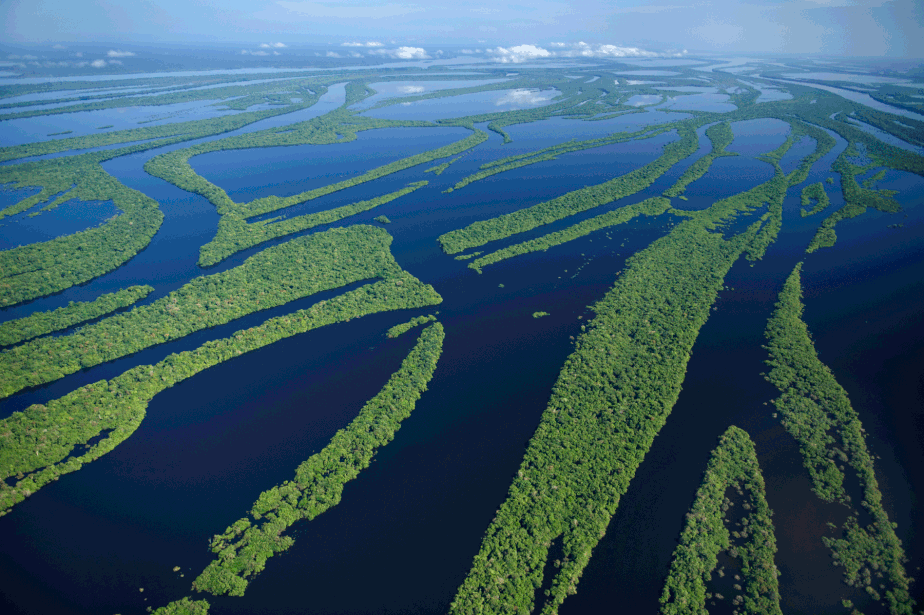 Rio na Amazônia