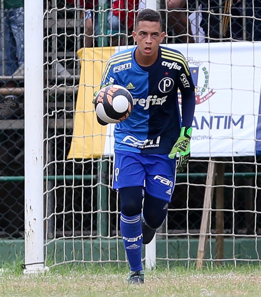 Herói do Verdão na final contra o Fla, goleiro era promessa do Vasco