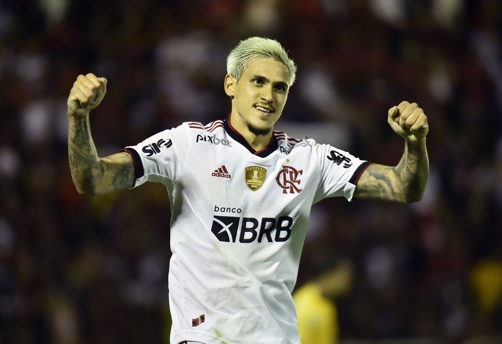 Pedro comemora gol pelo Flamengo &mdash; Foto: Andr&eacute; Dur&atilde;o