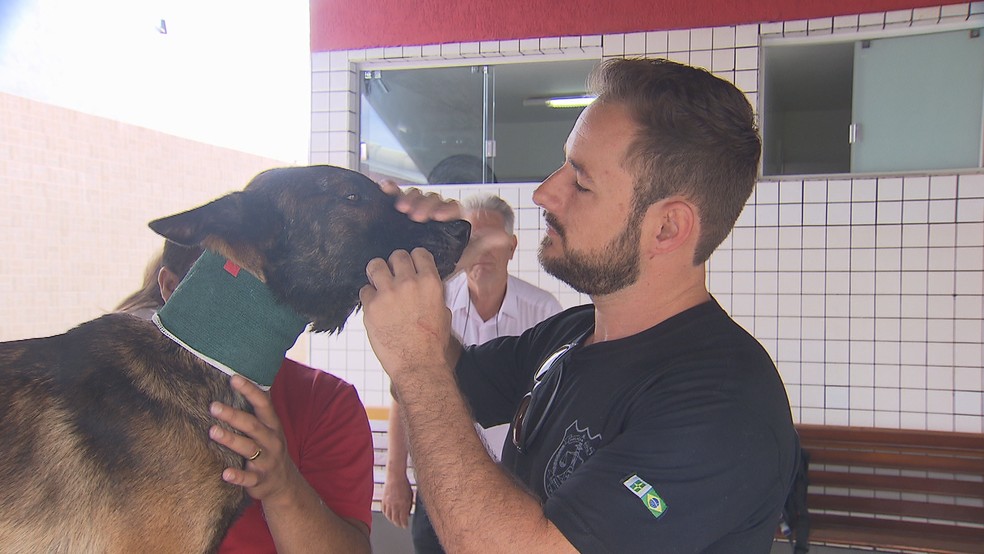 Django e o adestrador dele, Ricardo Textor, após reencontro — Foto: Reprodução/TV Globo