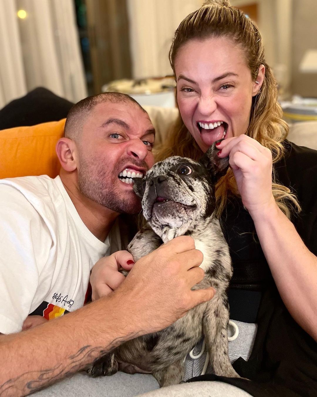 Paolla Oliveira e Diogo Nogueira adotam cachorro (Foto: Reprodução/Instagram)