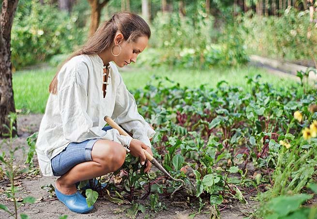 Depois de pronto, o adubo produzido em casa pode ser colocado no seu jardim, na sua horta e até destribuído para suas amigas (Foto: Casa e Jardim)