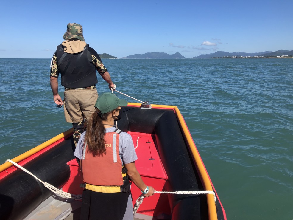 Equipes realizam monitoramento de baleias no litoral catarinense — Foto: Emanuel Ferreira/R3 Animal