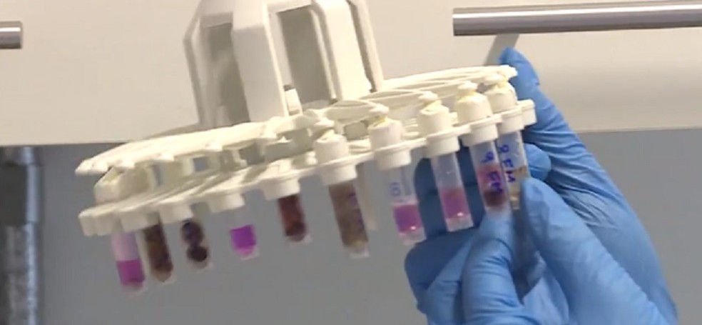 RN tem 134.010 casos confirmados de Covid-19 desde o início da pandemiai — Foto: TV Globo / Reprodução