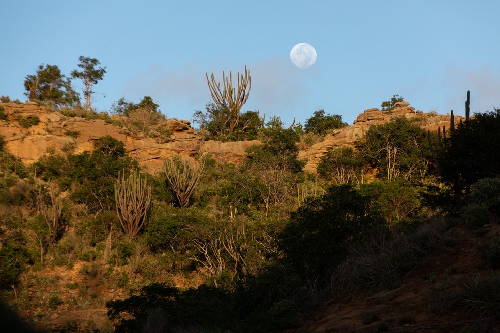 A lua cheia Ã© vista durante amanhecer na Baixa do Chico, regiÃ£o de caatinga no norte da Bahia â Foto: Marcelo Brandt/G1