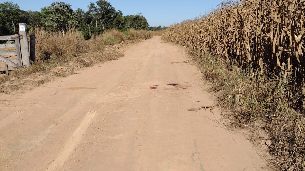 Luciene Borges, de 34 anos, foi assassinada em estrada na zona rural de Sorriso — Foto: Divulgação