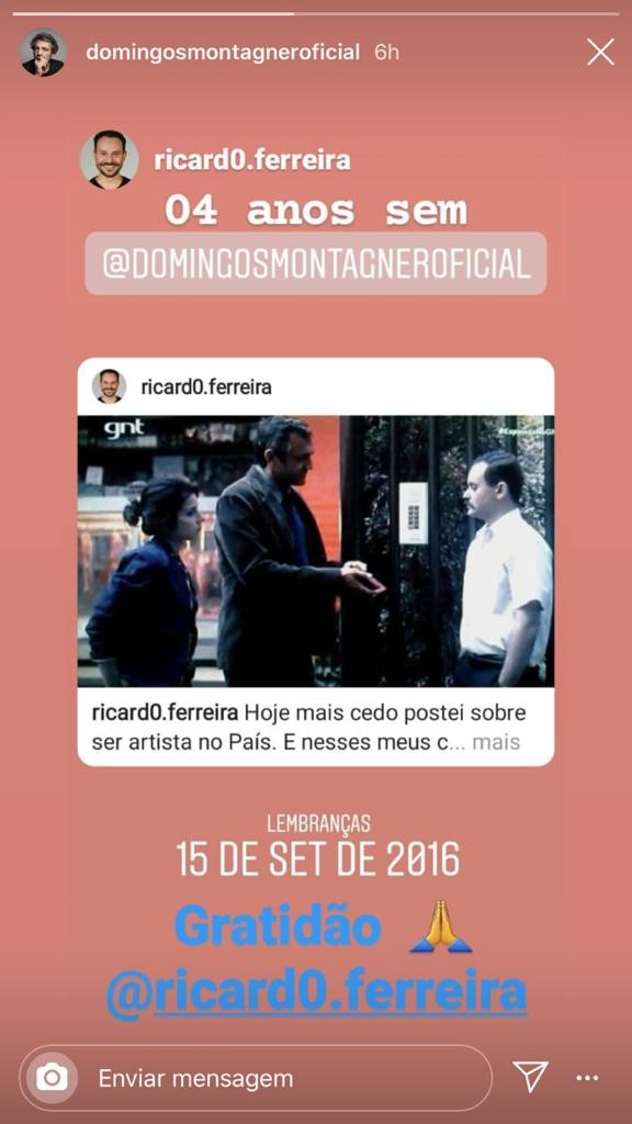 Amigos de Domingos Montagner lembram quatro anos de sua morte  (Foto: Reprodução/Instagram)