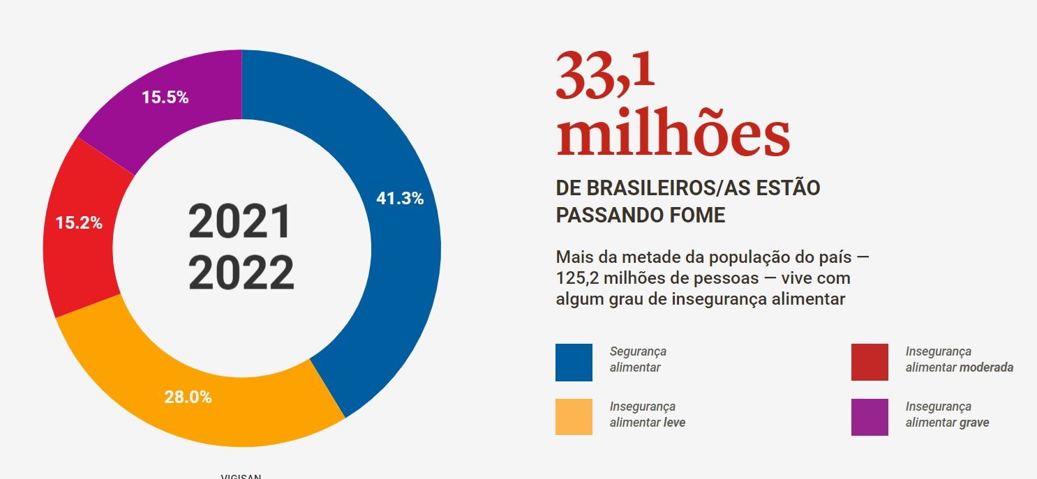 33,1 milhões de brasileiros passam fome, de acordo com o levantamento  (Foto: Olhe para a Fome)