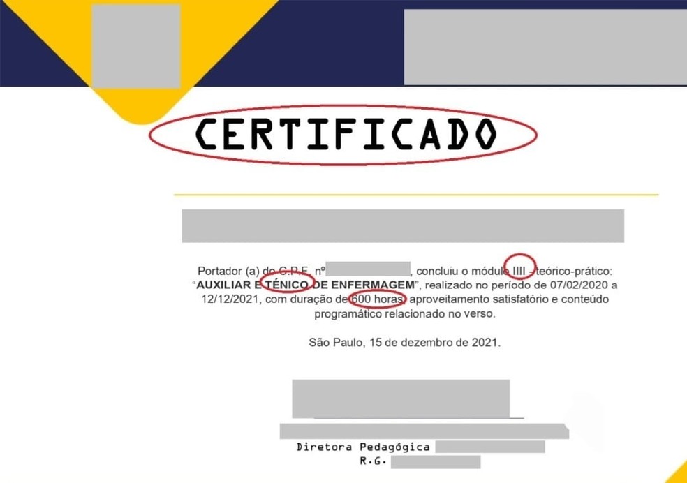 Certificado com erros — Foto: Reprodução