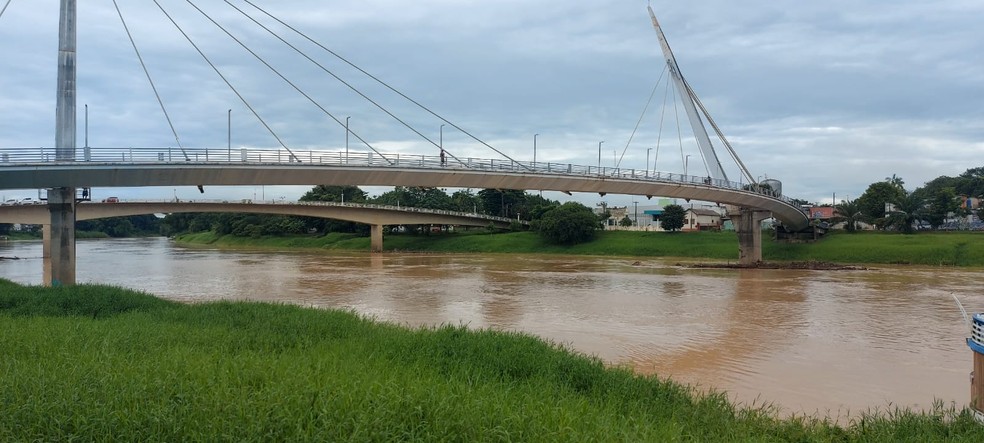 Rio Acre em Rio Branco com 11,40 metros nesta terça-feira (7) — Foto: Murilo Lima/Rede Amazônica Acre