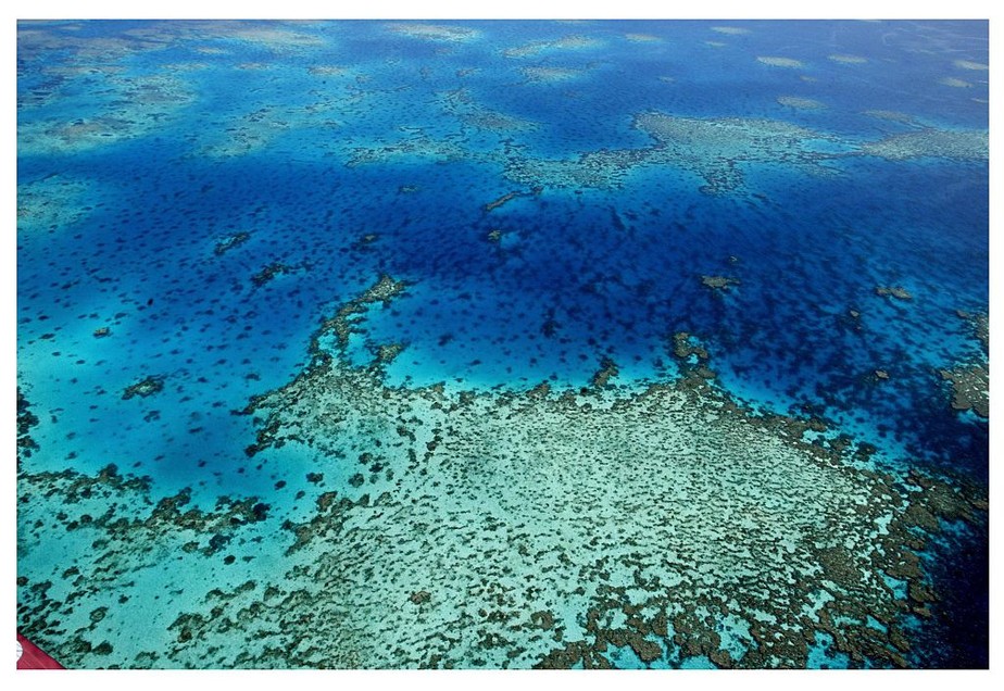 Com aquecimento global de 2ºC, Grande Barreira de Corais enfrentaria 'branqueamento extremo', mostra pesquisa