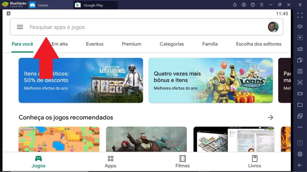 Pipa Combate 3D será um dos primeiros resultados da busca na Play Store — Foto: Reprodução/Carlos Palmeira