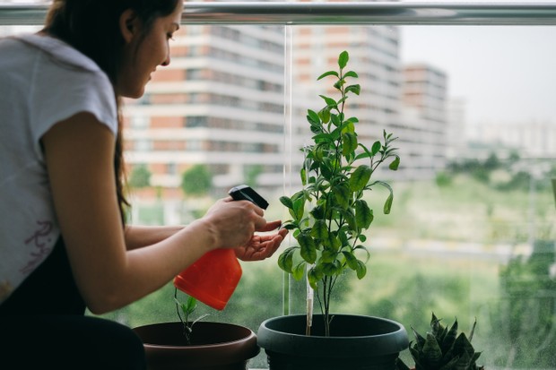 single woman gardening at home bolconey in urban (Foto: Getty Images)