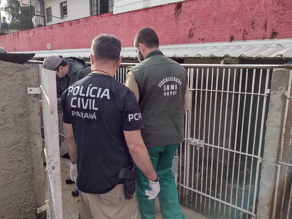 Mais de 300 cachorros eram mantidos sem água e alimentos em casa de Curitiba — Foto: Divulgação/Polícia Civil