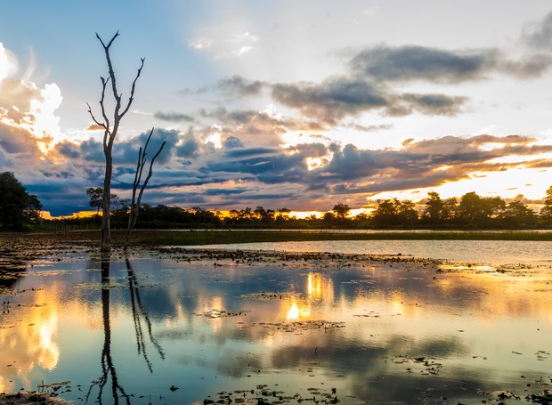 O Pantanal é um dos destinos listados pela Bloomberg que prometem agitar 2019 (Foto: Wikimedia Commons / Filipefrazao )