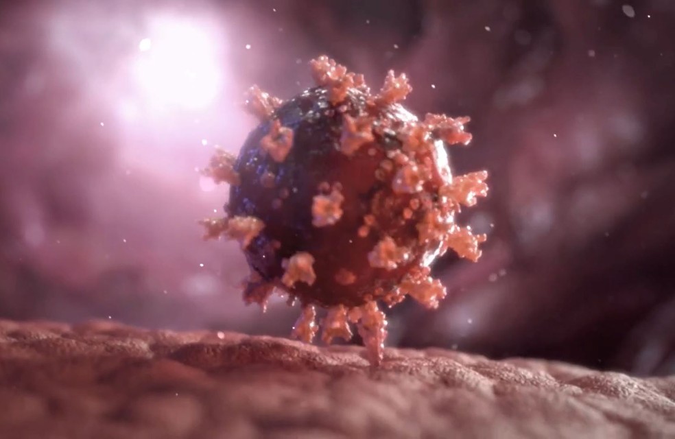 Arte da ação do coronavírus no organismo humano — Foto: Reprodução/TV Globo