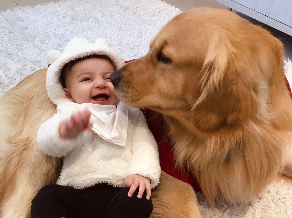 Mãe registra amizade entre bebê e cachorro no PR e bate quase 5 milhões de  visualizações na internet; assista | Paraná | G1