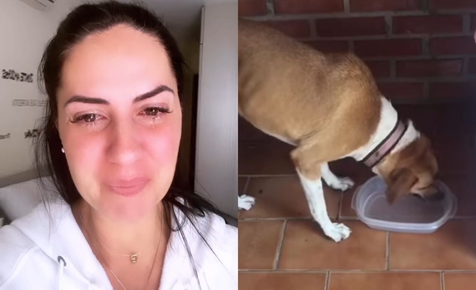 Graciele Lacerda chora ao encontrar cachorra que havia fugido (Foto: Reprodução/Instagram)