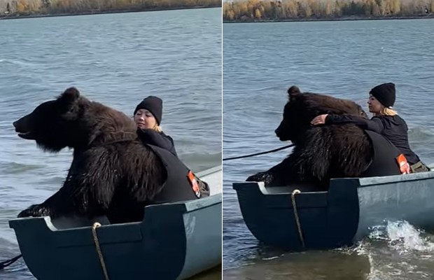 Mulher viraliza ao pescar com urso resgatado de parque falido (Foto: Reprodução/YouTube Caters Clips)