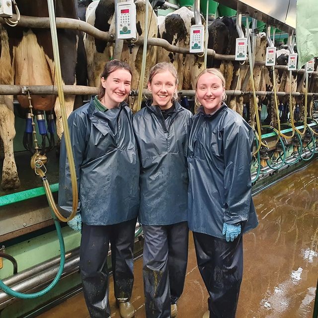“Rainhas dos Laticínios de Cheshire” fizeram a maratona para chamar a atenção para o trabalho do produtor rural (Foto: Instagram/Cheshire Young Farmers' Clubs)