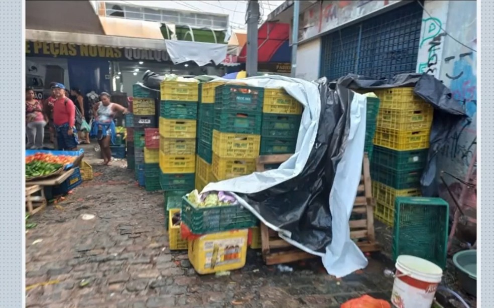 Verduras foram flagradas em posse de uma mulher no Centro de Abastecimento de Feira de Santana — Foto: Reprodução/TV Subaé