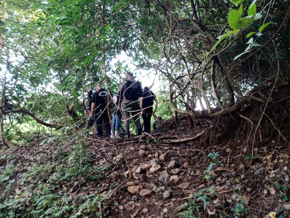 Polícia procura corpo de adolescente em matagal na Zona Sudeste de Teresina — Foto: Fernando Oliveira/g1 PI