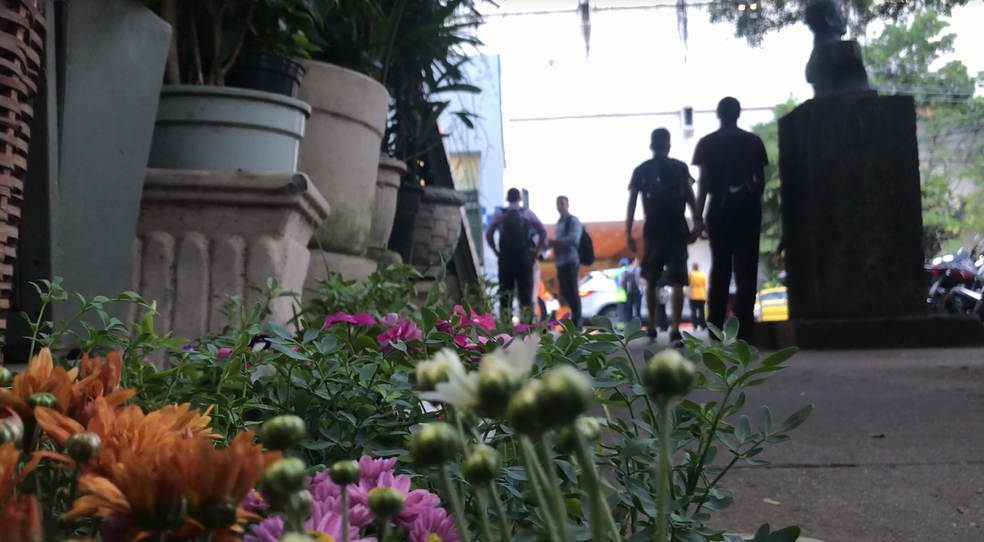 Mudinhas de flores e temperos ficam na frente da floricultura  (Foto: Yasmim Restum/G1)