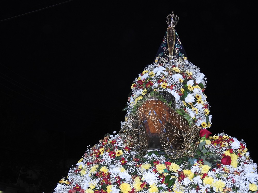 Centenas de flores ornamentaram o andor da padroeira (Foto: Ive Rylo/ G1 AM)