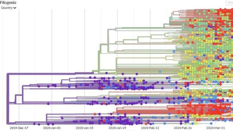 Site NextStrain apresenta mutações genéticas ao longo do tempo — Foto: Reprodução/NextStrain