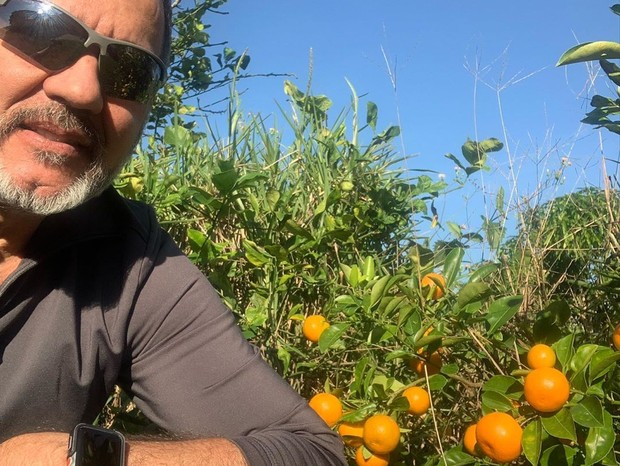 Humberto Martins com seu pé de tangerina plantado nos EUA (Foto: Reprodução/Instagram)