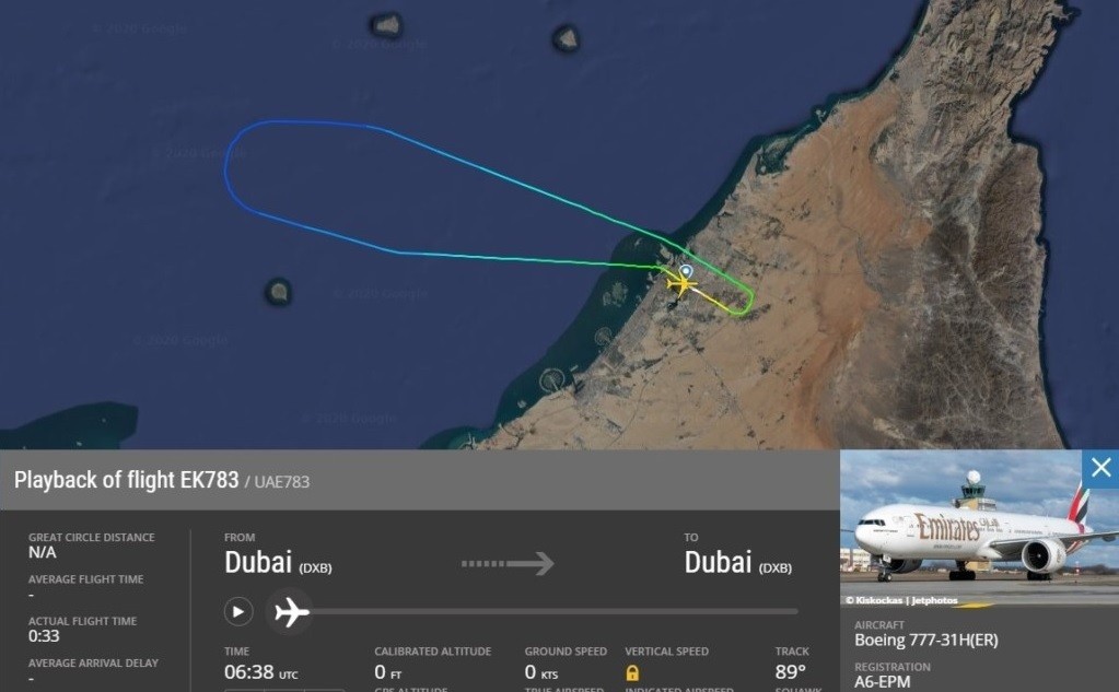 Flight Radar registrou a meia volta dada pelo avião (Foto: Reprodução)