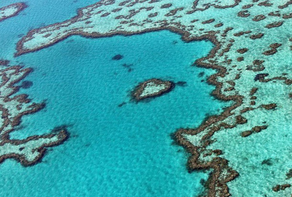 Trecho da Grande Barreira de Corais, na Austrália (Foto: Sarah Lai/AFP)