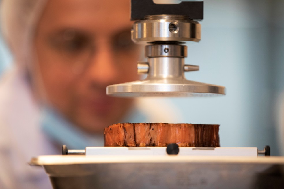 Técnico de alimentação um bife à base de planta feito por uma impressora 3D — Foto: Amir Cohen/Reuters