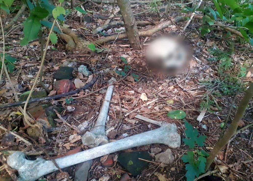 Ossada humana é encontrada por trabalhadores às margens de rodovia na saída do Brasil para Bolívia