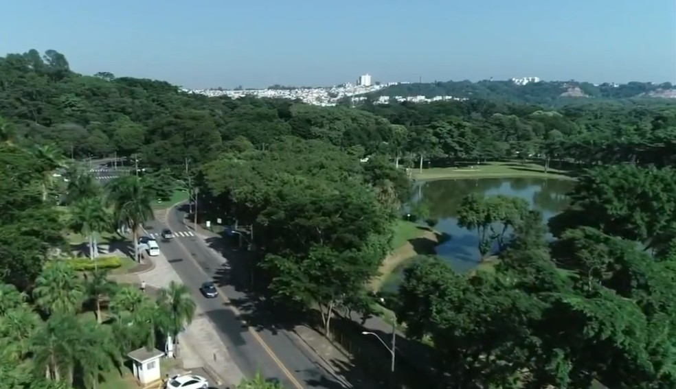 Área arborizada em Piracicaba (SP) — Foto: Ricardo Custódio