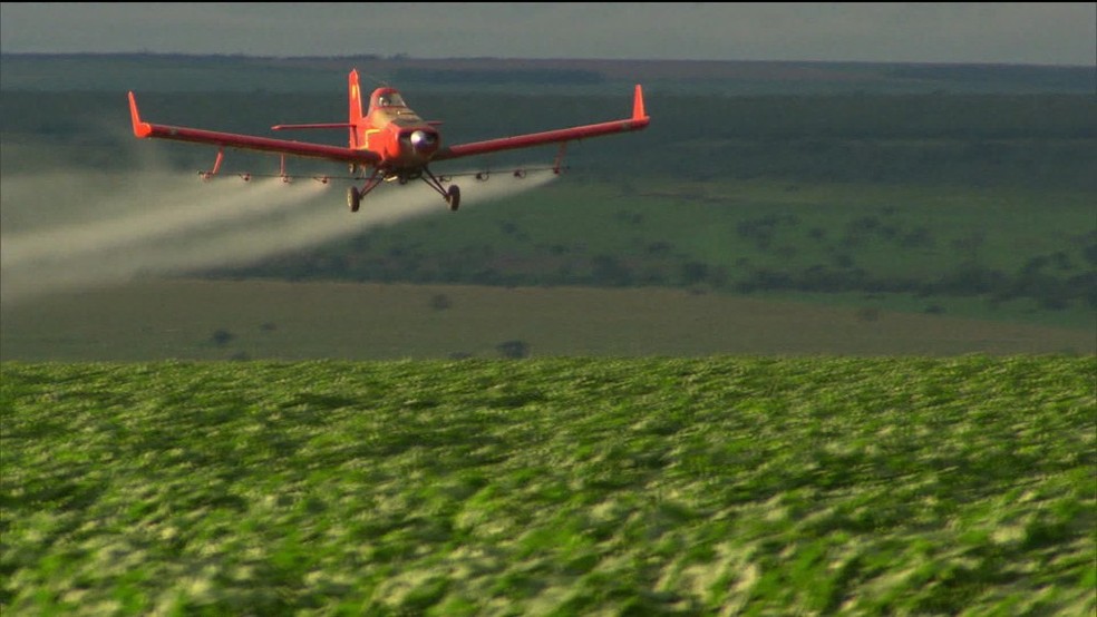 Aplicação de agrotóxico feita por avião. — Foto: GloboNews