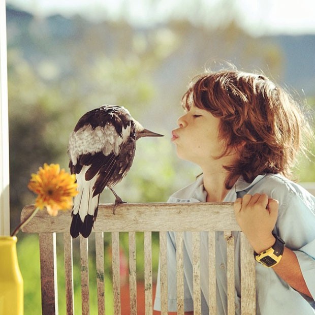 Penguim, o corvo (Foto: Instagram / Reprodu)