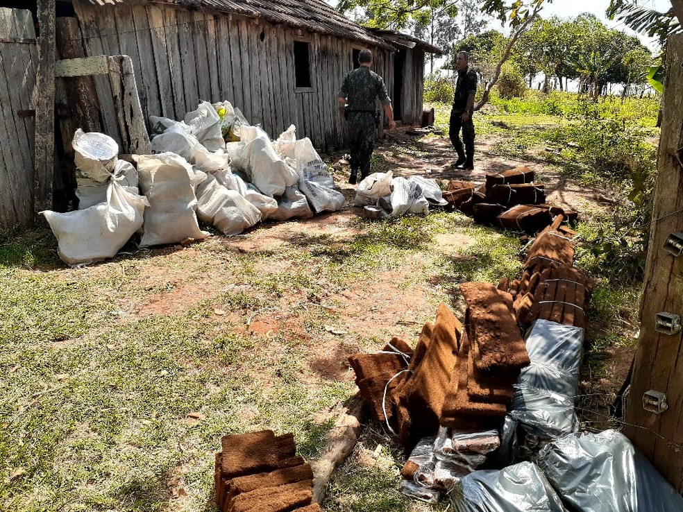 Homem tinha depósito clandestino de xaxim em Indiana — Foto: Polícia Militar Ambiental