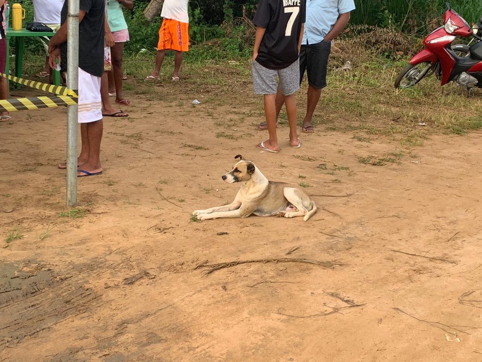 Spike, cachorro de Rafael Nunes, acompanhou o velório de perto. — Foto: Laura Moura/ g1 Piauí