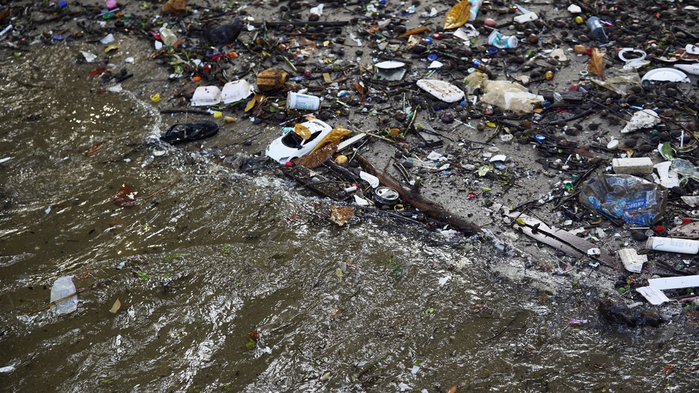 Lixo boia em praia da Ilha do Governador, na Baía de Guanabara — Foto: Marcos Serra Lima/g1