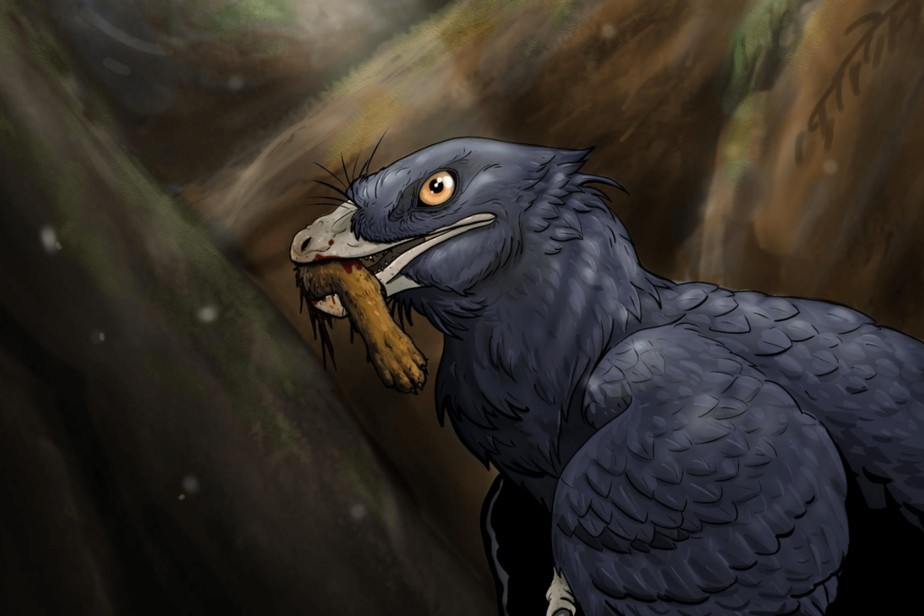 Ilustração do dinossauro Microraptor se alimentando de um pequeno mamífero