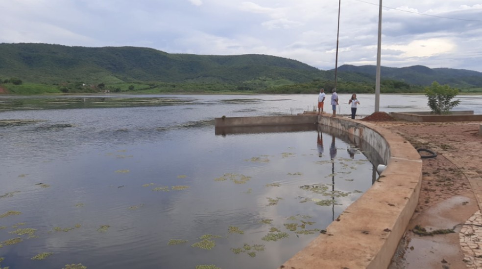 Açude Junco no município de Granjeiro — Foto: Reprodução/TV Verdes Mares