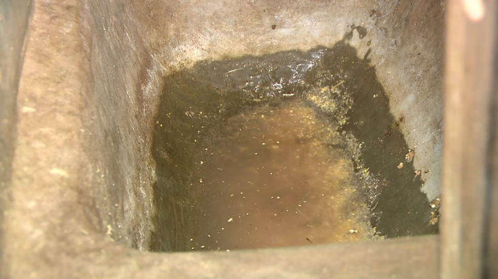 Animais bebiam água suja dentro de baias — Foto: Reprodução/EPTV