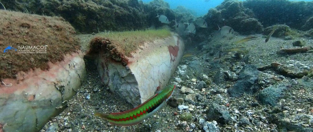 Pedaço de coluna de mármore no fundo do mar — Foto: Divulgação/NAUMACOS